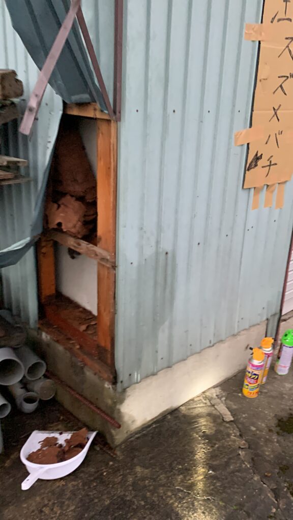 福島市で駆除したスズメバチの巣