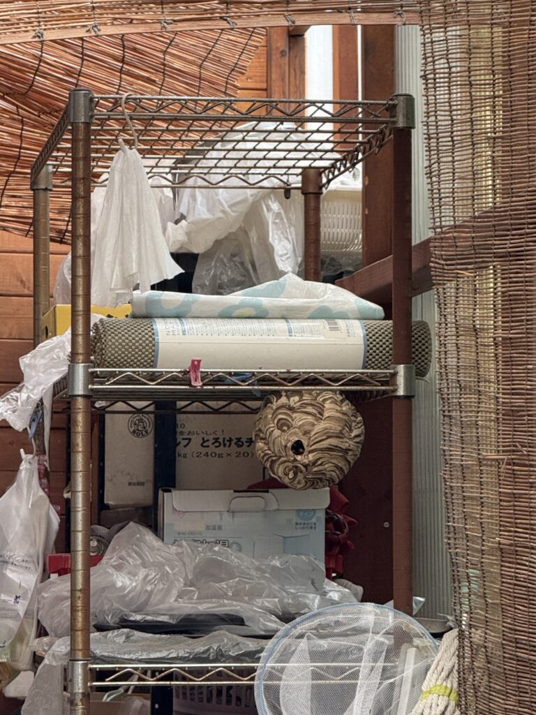 福島県伊達市で見つけたスズメバチの巣