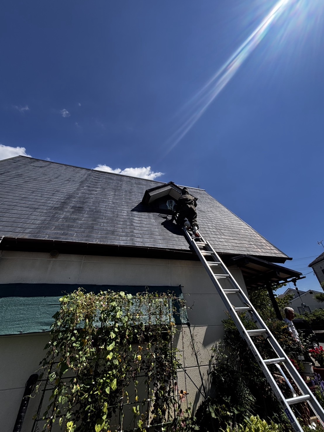 福島市にてアシナガバチの巣駆除のご依頼をいただきました。