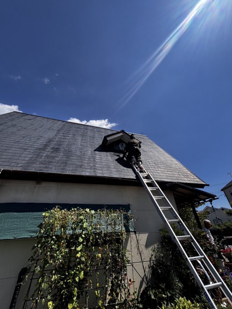 福島市で駆除したアシナガバチの巣高所作業あり