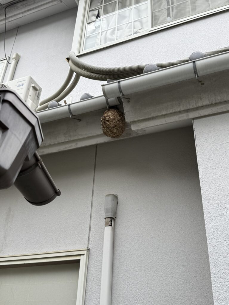 相馬市でのスズメバチ駆除