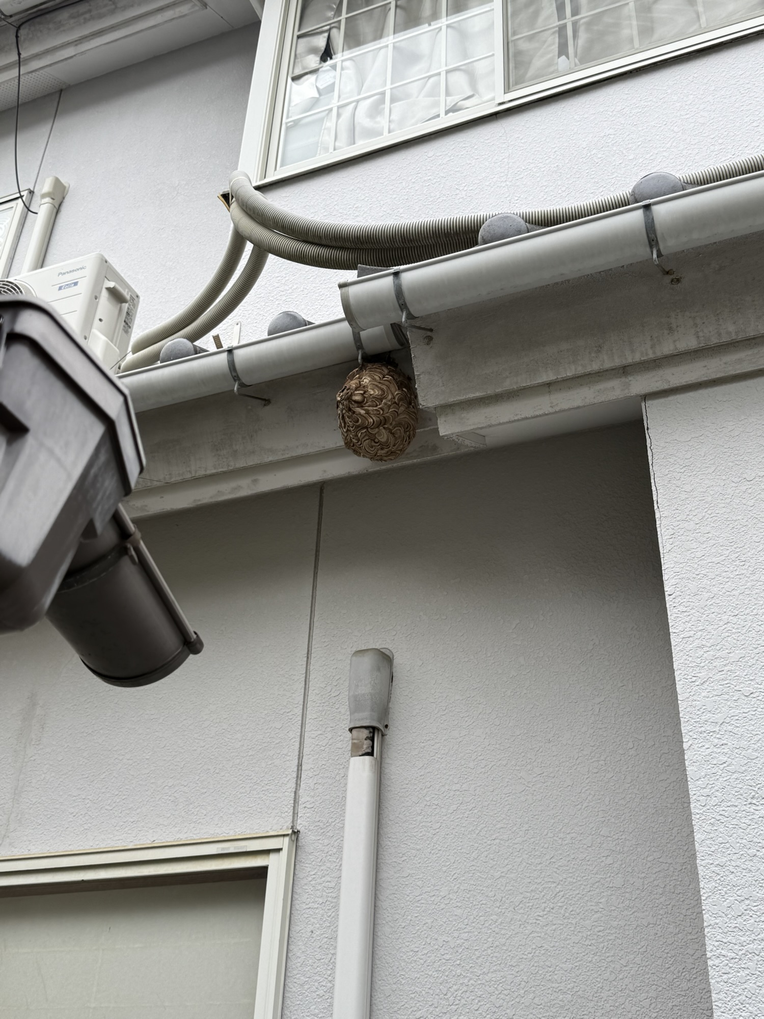 【相馬市】雨樋の下にできたスズメバチの巣を駆除｜戻り蜂対策も徹底