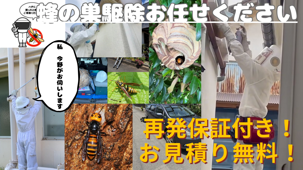 ハチの巣駆除NONS 見積もり無料 再発保証