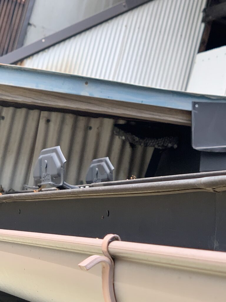 本宮市で駆除したアシナガバチの巣