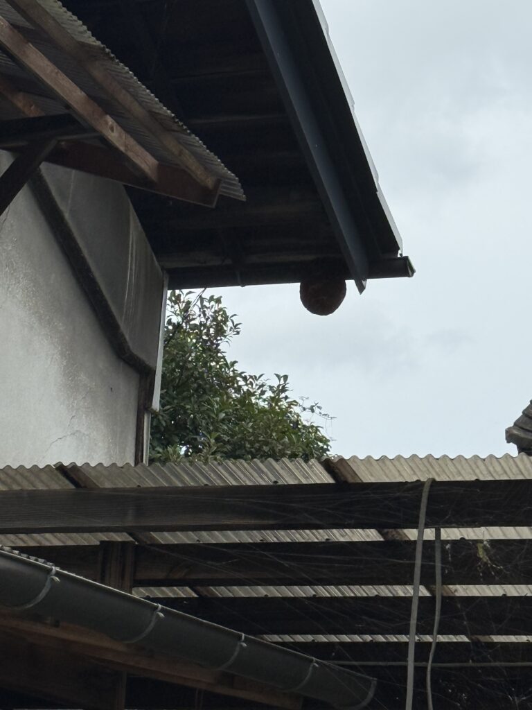 本宮市の高所にあったスズメバチの巣を駆除しました