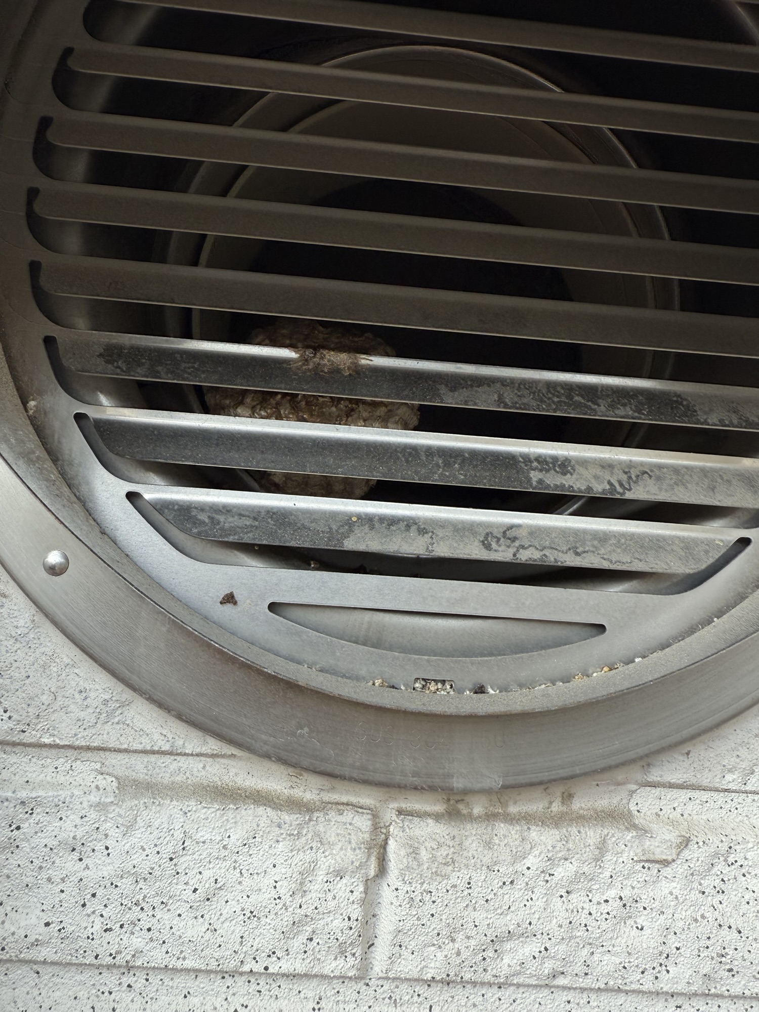 【二本松市若宮】通気口内部のアシナガバチ駆除事例