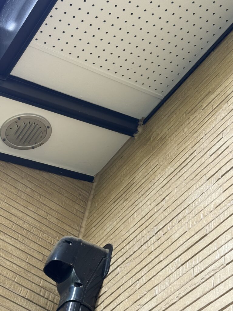 桑折町町裏のスズメバチ駆除後の写真
